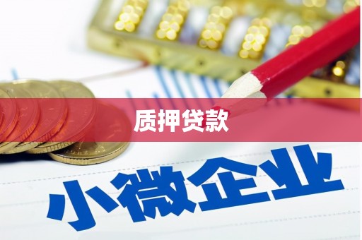 文圣质押贷款