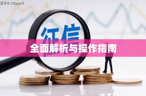 文圣全面解析与操作指南