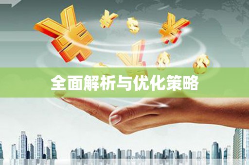 文圣全面解析与优化策略
