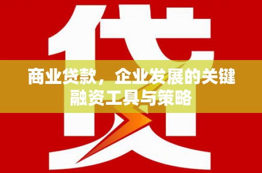 文圣商业贷款，企业发展的关键融资工具与策略