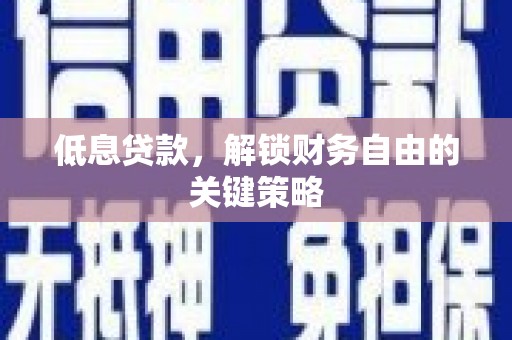 文圣低息贷款，解锁财务自由的关键策略