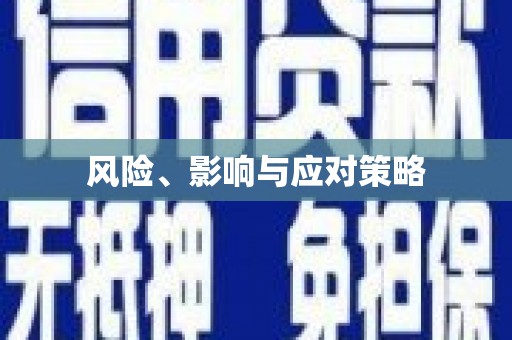 文圣风险、影响与应对策略