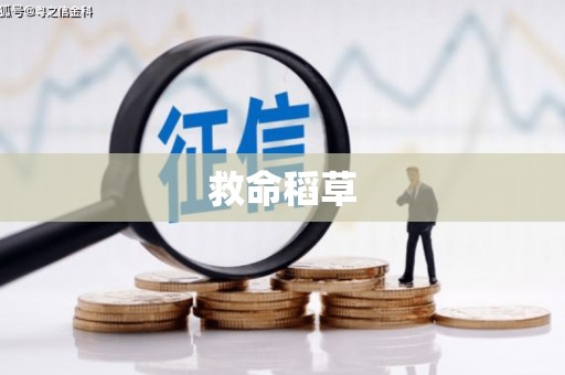 文圣救命稻草