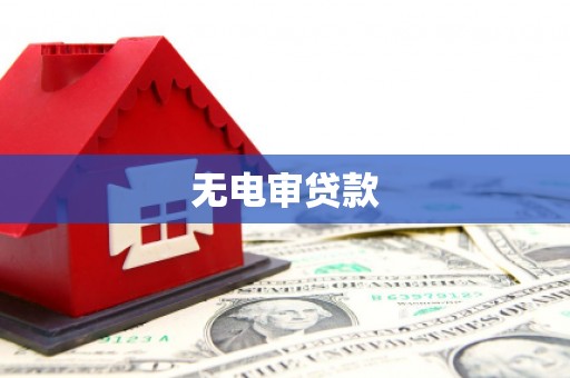 文圣无电审贷款