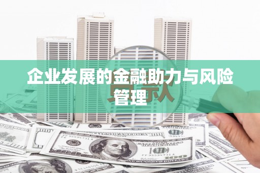 文圣企业发展的金融助力与风险管理