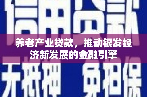 文圣养老产业贷款，推动银发经济新发展的金融引擎