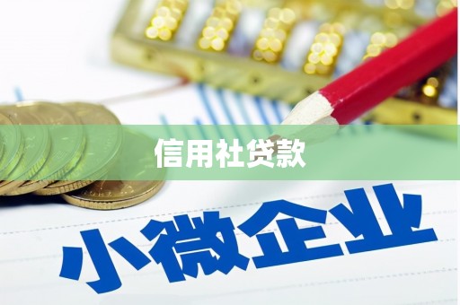 文圣信用社贷款