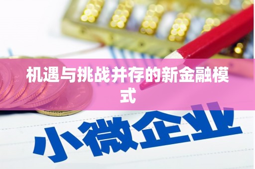 文圣机遇与挑战并存的新金融模式