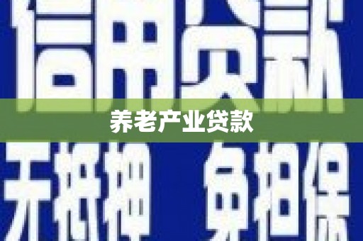 文圣养老产业贷款