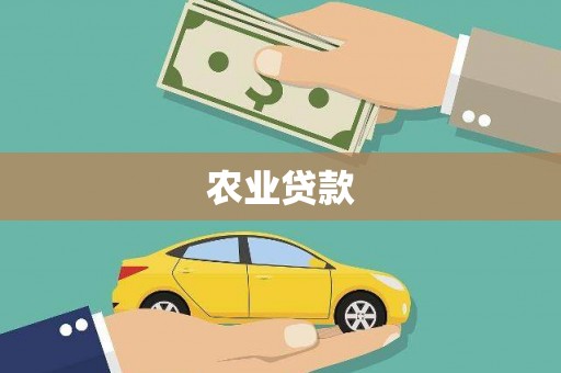 文圣农业贷款