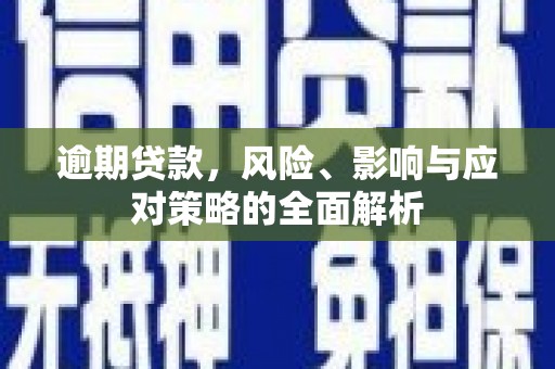 文圣逾期贷款，风险、影响与应对策略的全面解析