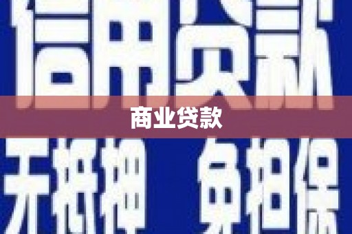 文圣商业贷款