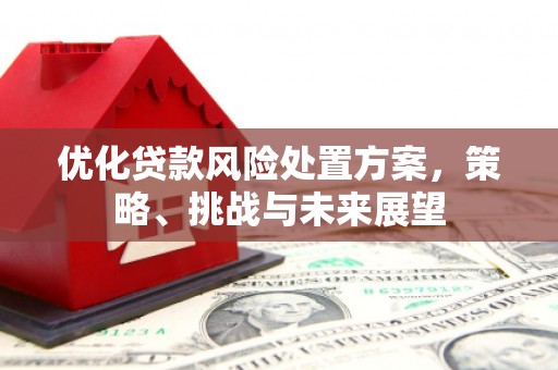 文圣优化贷款风险处置方案，策略、挑战与未来展望