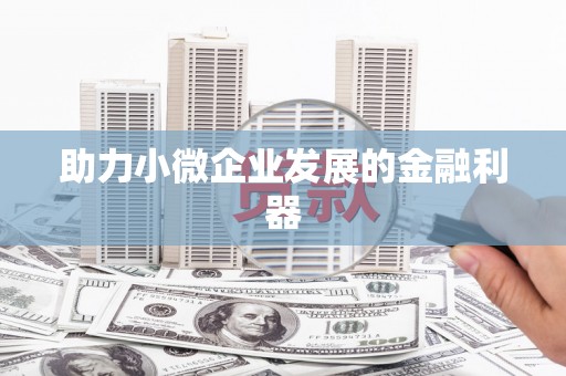 文圣助力小微企业发展的金融利器