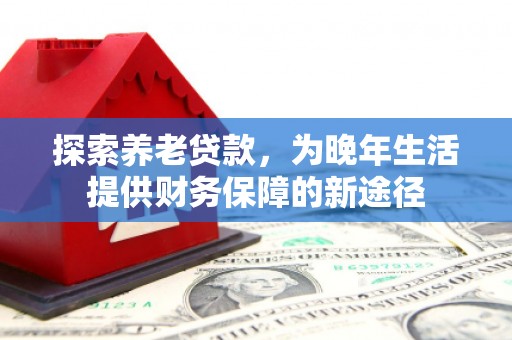 文圣探索养老贷款，为晚年生活提供财务保障的新途径