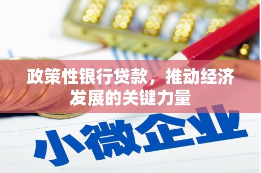 文圣政策性银行贷款，推动经济发展的关键力量