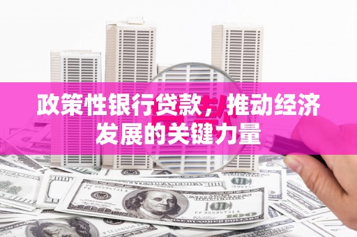 文圣政策性银行贷款，推动经济发展的关键力量