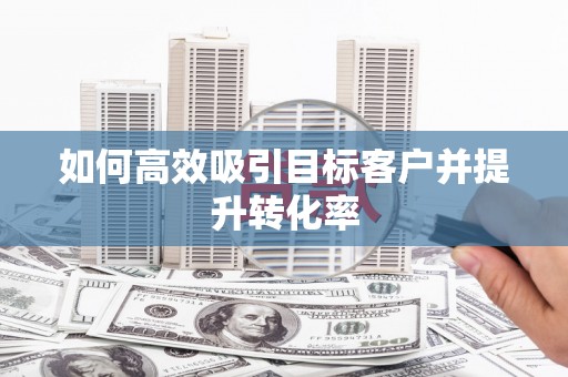 文圣如何高效吸引目标客户并提升转化率