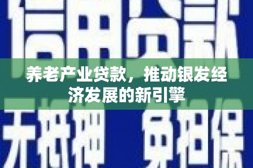 文圣养老产业贷款，推动银发经济发展的新引擎