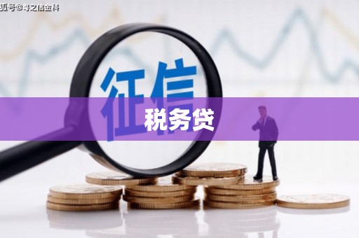 文圣税务贷