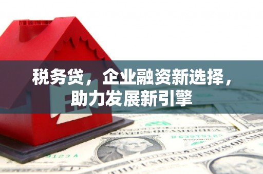 文圣税务贷，企业融资新选择，助力发展新引擎