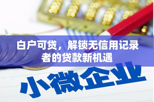 文圣白户可贷，解锁无信用记录者的贷款新机遇