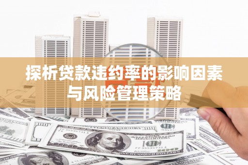 文圣探析贷款违约率的影响因素与风险管理策略