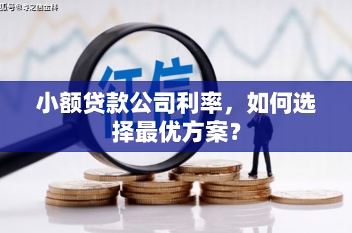 文圣小额贷款公司利率，如何选择最优方案？