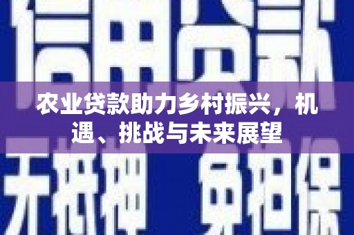 文圣农业贷款助力乡村振兴，机遇、挑战与未来展望