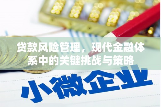 文圣贷款风险管理，现代金融体系中的关键挑战与策略