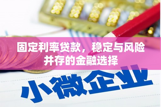 文圣固定利率贷款，稳定与风险并存的金融选择