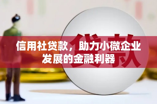 文圣信用社贷款，助力小微企业发展的金融利器