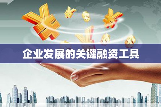文圣企业发展的关键融资工具