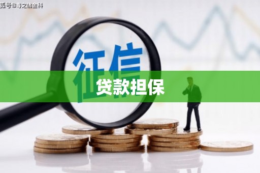 文圣贷款担保