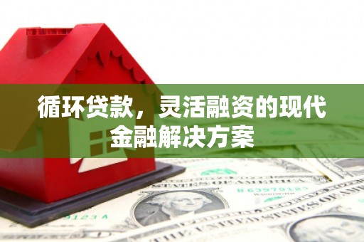 文圣循环贷款，灵活融资的现代金融解决方案