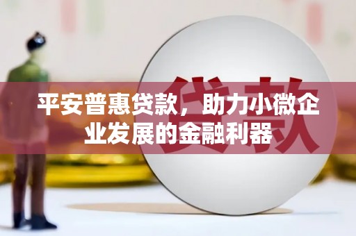 文圣平安普惠贷款，助力小微企业发展的金融利器