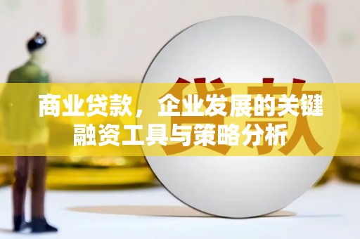 文圣商业贷款，企业发展的关键融资工具与策略分析