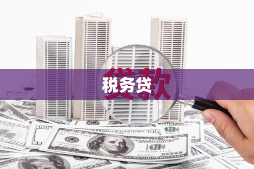 文圣税务贷