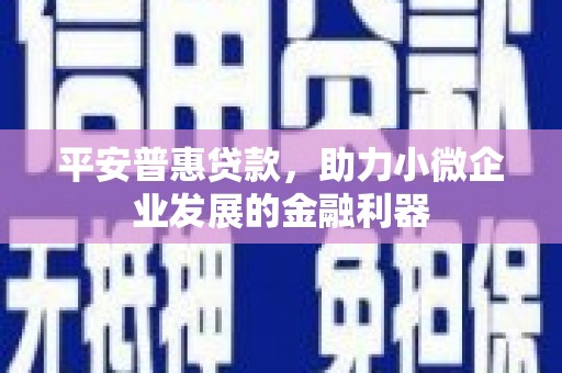 文圣平安普惠贷款，助力小微企业发展的金融利器