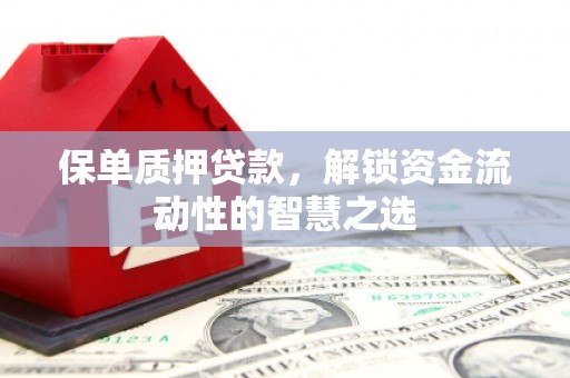文圣保单质押贷款，解锁资金流动性的智慧之选
