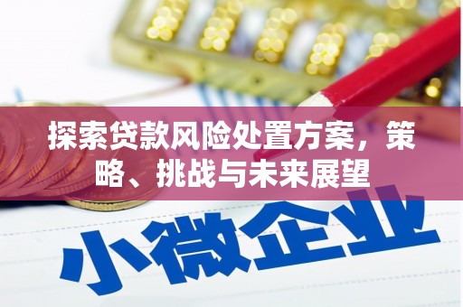 文圣探索贷款风险处置方案，策略、挑战与未来展望