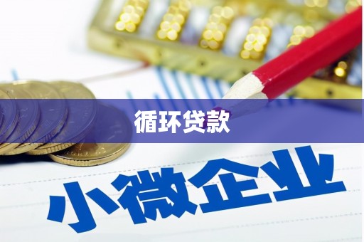 文圣循环贷款