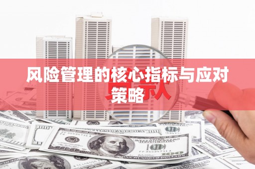 文圣风险管理的核心指标与应对策略