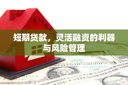 文圣短期贷款，灵活融资的利器与风险管理