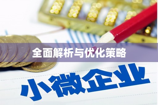 文圣全面解析与优化策略