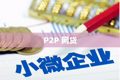文圣P2P 网贷