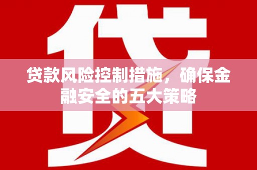 文圣贷款风险控制措施，确保金融安全的五大策略