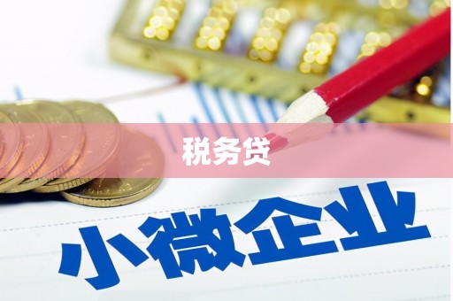 文圣税务贷