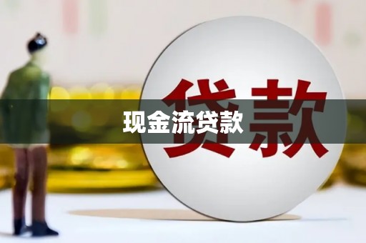 文圣现金流贷款