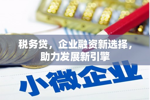 文圣税务贷，企业融资新选择，助力发展新引擎